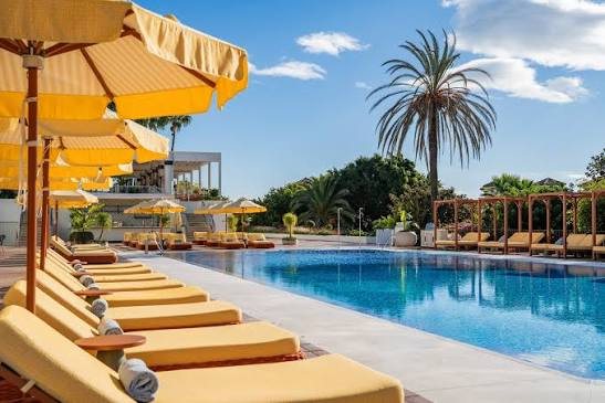 Piscina con tumbonas del hotel Don Carlos Marbella